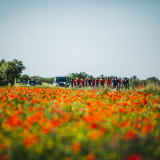 Tramuntana_Cycling_Tour-032
