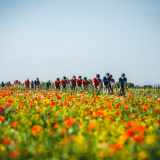 Tramuntana_Cycling_Tour-033