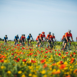 Tramuntana_Cycling_Tour-034
