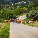 Tramuntana_Cycling_Tour-054