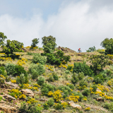 Tramuntana_Cycling_Tour-156