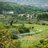 Tramuntana_Cycling_Tour-182