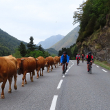 Trans-Pyrenees-Cycling-Tour-2021-Bikecat-020