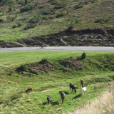 Trans-Pyrenees-Cycling-Tour-2021-Bikecat-082