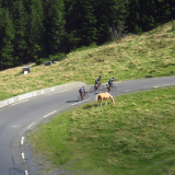 Trans-Pyrenees-Cycling-Tour-2021-Bikecat-084
