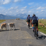 Trans-Pyrenees-Cycling-Tour-2021-Bikecat-087