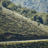 Trans-Pyrenees-Cycling-Tour-2021-Bikecat-190