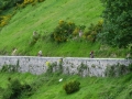 Bikecat-Transpirinaica-Tour-2019-028