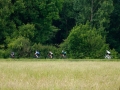 Bikecat-Transpirinaica-Tour-2019-065