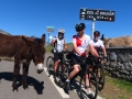 Bikecat-Transpirinaica-Tour-2019-109