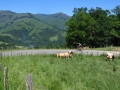 Bikecat-Transpirinaica-Tour-2019-147