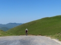 Bikecat-Transpirinaica-Tour-2019-159