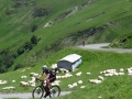 Bikecat-Transpirinaica-Tour-2019-162