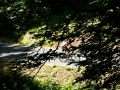 Bikecat-Transpirinaica-Tour-2019-191