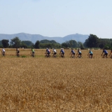 Bikecat-VeloVeneto-Best-of-Girona-2018-077