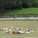 Bikecat-VeloVeneto-Best-of-Girona-2018-141