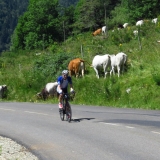 Bikecat-VeloVeneto-Best-of-Girona-2018-189