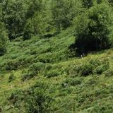 Bikecat-VeloVeneto-Best-of-Girona-2018-200