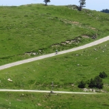 Bikecat-VeloVeneto-Best-of-Girona-2018-202