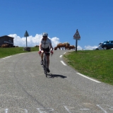 Bikecat-VeloVeneto-Best-of-Girona-2018-204
