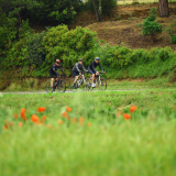 Velovino_Girona_Cycling_Tour_2025-026