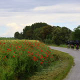 Velovino_Girona_Cycling_Tour_2025-033