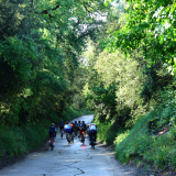 Velovino_Girona_Cycling_Tour_2025-071