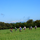 Velovino_Girona_Cycling_Tour_2025-074