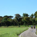 Velovino_Girona_Cycling_Tour_2025-075