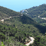 Velovino_Girona_Cycling_Tour_2025-117