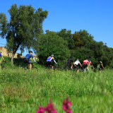 Velovino_Girona_Cycling_Tour_2025-143