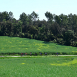 Velovino_Girona_Cycling_Tour_2025-154