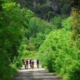 Velovino_Girona_Cycling_Tour_2025-184