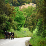 Velovino_Girona_Cycling_Tour_2025-188