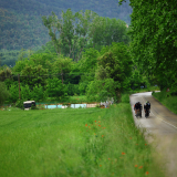 Velovino_Girona_Cycling_Tour_2025-190