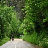 Velovino_Girona_Cycling_Tour_2025-191