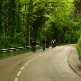 Velovino_Girona_Cycling_Tour_2025-196