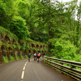 Velovino_Girona_Cycling_Tour_2025-199