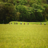 Velovino_Girona_Cycling_Tour_2025-221