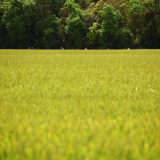 Velovino_Girona_Cycling_Tour_2025-222