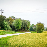 Willie_Girona-Costa_Brava-043