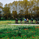 Willie_Girona-Costa_Brava-063