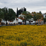 Willie_Girona-Costa_Brava-095