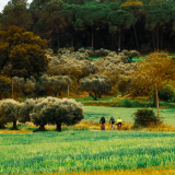 Willie_Girona-Costa_Brava-126