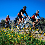 Willie_Girona-Costa_Brava-220