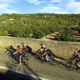 Bikecat-Wine-Tour-2016-006