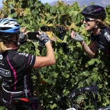 Bikecat-Wine-Tour-2016-036