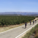 Bikecat-Wine-Tour-2016-037