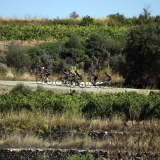 Bikecat-Wine-Tour-2016-039