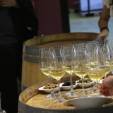 Bikecat-Wine-Tour-2016-046
